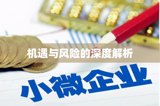 正安机遇与风险的深度解析