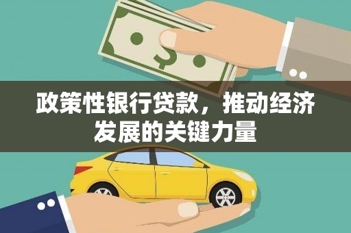 正安政策性银行贷款，推动经济发展的关键力量