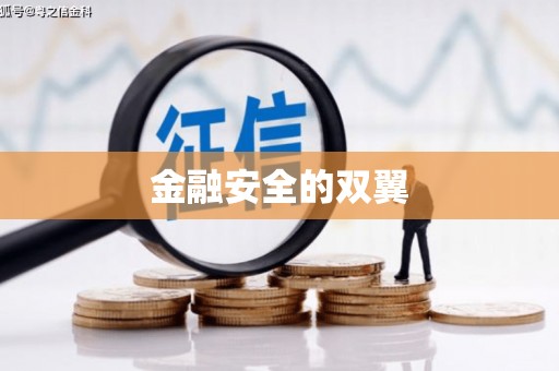 正安金融安全的双翼