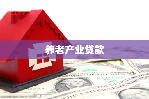 正安养老产业贷款