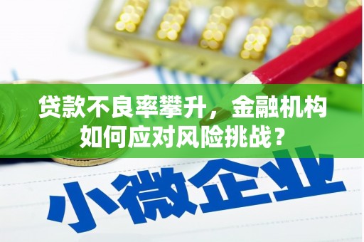 正安贷款不良率攀升，金融机构如何应对风险挑战？