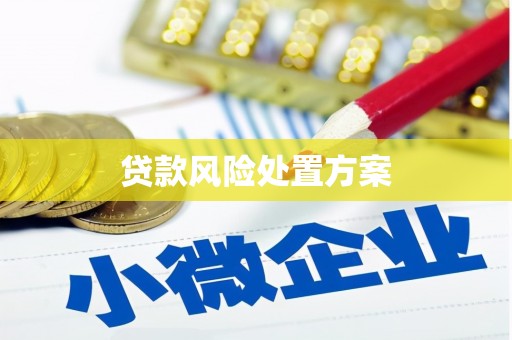 正安贷款风险处置方案