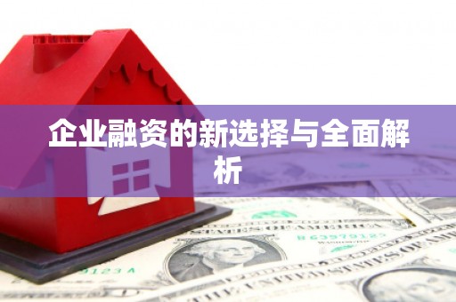 正安企业融资的新选择与全面解析