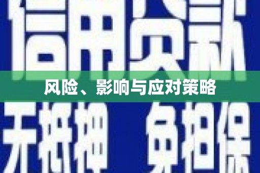 正安风险、影响与应对策略