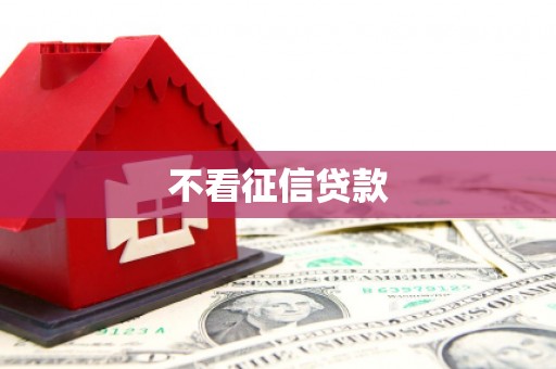 正安不看征信贷款