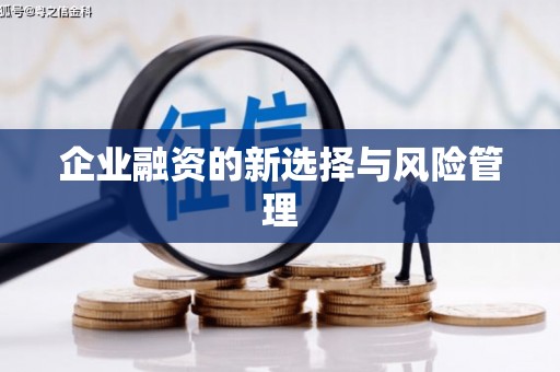 正安企业融资的新选择与风险管理