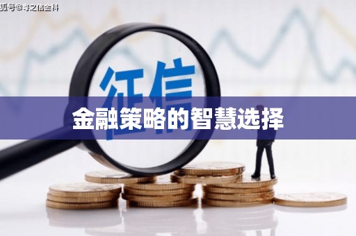 正安金融策略的智慧选择