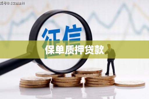 正安保单质押贷款