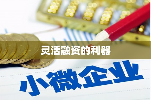 正安灵活融资的利器