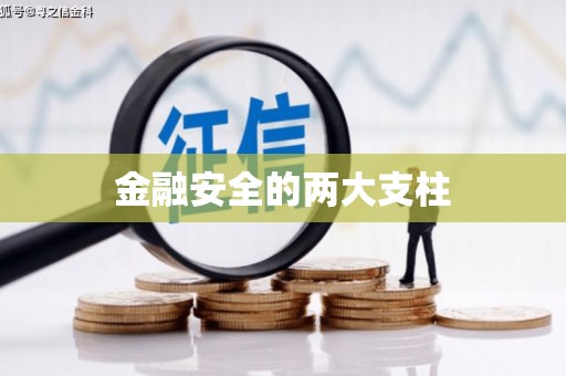 正安金融安全的两大支柱