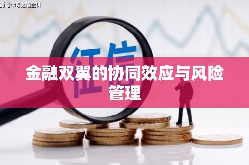 正安金融双翼的协同效应与风险管理