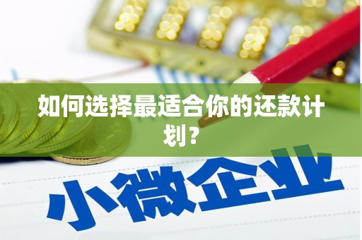 正安如何选择最适合你的还款计划？